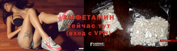 стаф Абаза