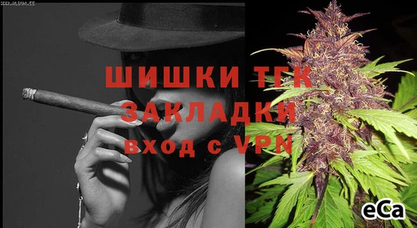 дживик Мегион