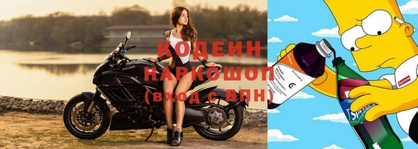дживик Мегион